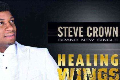 Steve Crown Healing Wings