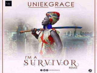 Im A Survivor Remix 768X628