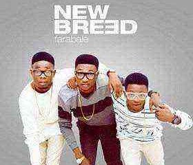 Newbrid