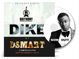 Dsmart Dike