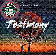 Testimony – The Gratitude Coza