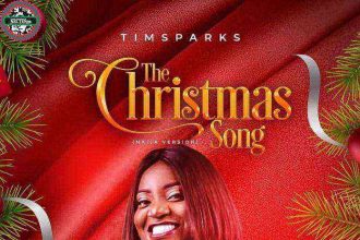 Mp3 Audio Song_ The Christmas Song - Timsparks