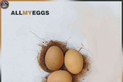 All My Eggs Lyrics Ademola Makinde Ngospelmedia.net