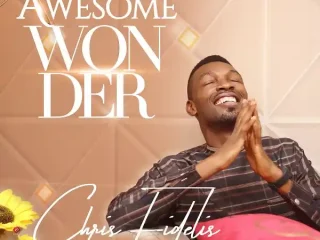 (Full Lyrics) Awesome Wonder - Chris Fidelis