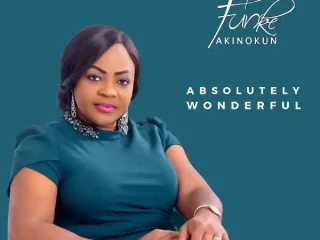 Absolutely Wonderful - Funke Akinokun