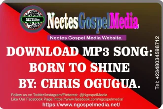 Download Mp3 Song - Born To Shine By Chris Ogugua {Ngospelmedia.net}