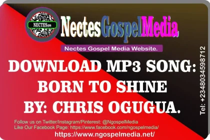 Download Mp3 Song - Born To Shine By Chris Ogugua {Ngospelmedia.net}