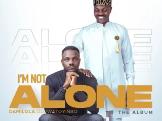 Im Not Alone Damilola Oluwatoyinbo 3